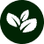 Jhon's Ceylon Tea Co